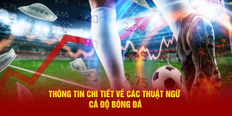 Thuat-ngu-ca-do-bong-da-thong-tin-chi-tiet