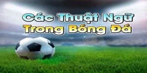 Thuat-ngu-ca-do-bong-da-avatar