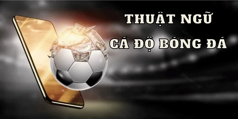 Thuat-ngu-ca-do-bong-da-viet-nam
