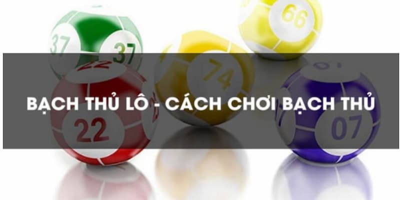bach-thu-lo-meo