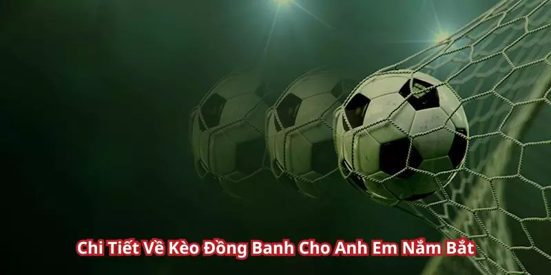 keo-dong-banh-chi-tiet