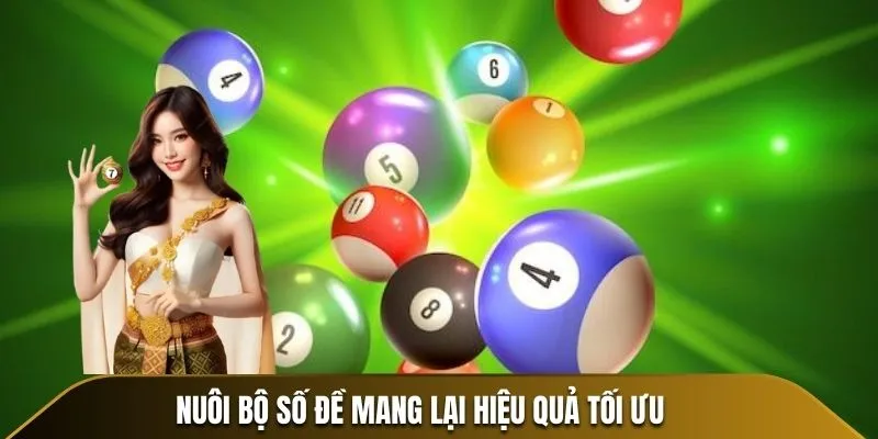 Nuôi bộ số đề mang lại hiệu quả tối ưu